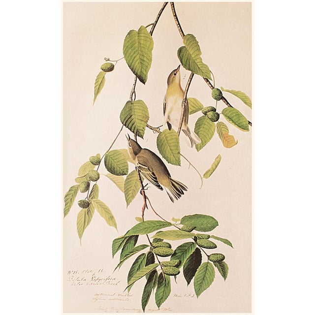 A stunning vintage American Classical, English Traditional, Cottage or Farmhouse Style reproduction of the original...