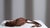 Early 21st Century Moroccan Leather Choucha Tassel - Dark Brown For Sale - Image 5 of 18