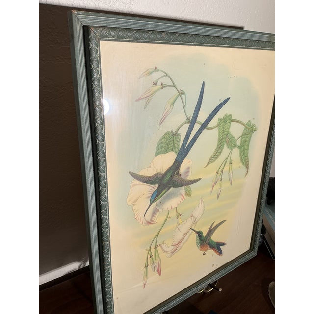 Framed Vintage Ibf Co. Hummingbird Lithograph, Hollywood Picture Frame Co., Mid-Century Botanical Fine Art For Sale - Image 4 of 11