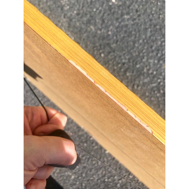 Brick Red Folk Art Mola Bird and Flower Embroidered Textile Art in Gold Frame For Sale - Image 8 of 11