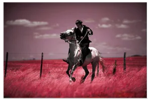 Vanessa Taylor, Uruguayan Gaucho, 21st Century, Print