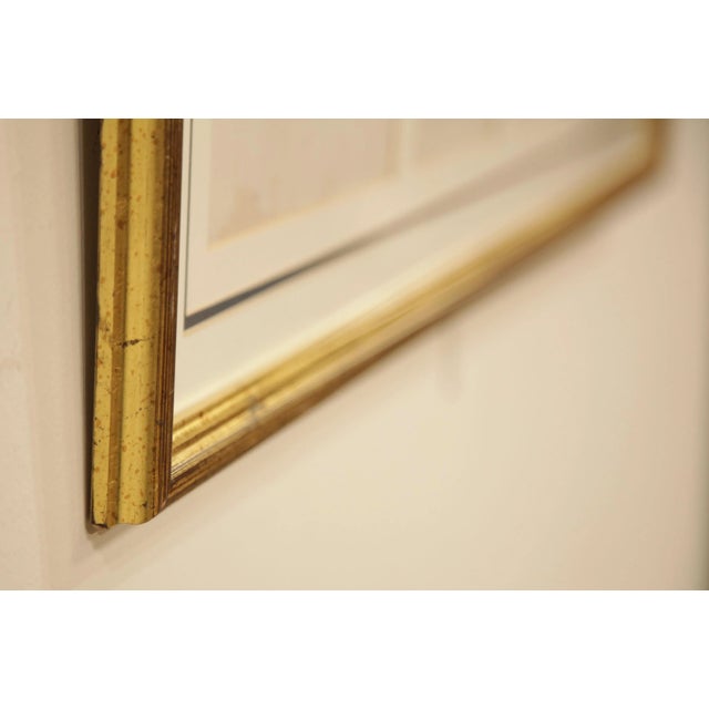 Discovering Dinosaurs Framed Replicas of Materials From the Archives of The Natural History Museum London For Sale - Image 4 of 12