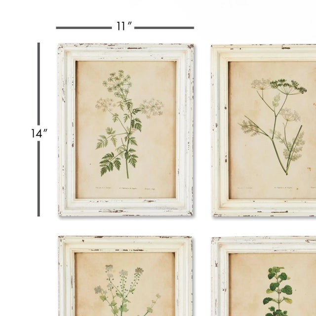2020s Framed Wild Flower Botanicals - Set of 12 For Sale - Image 5 of 6