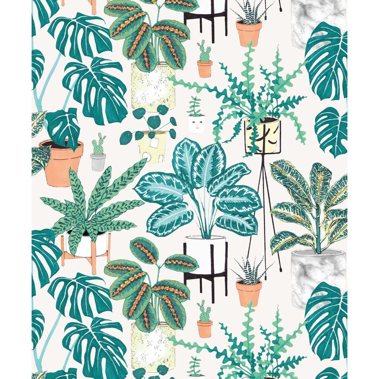 House Plants Wallpaper Chairish