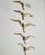 Modernist Brass Wall Seagulls, 1960s, Set of 5 For Sale - Image 4 of 10