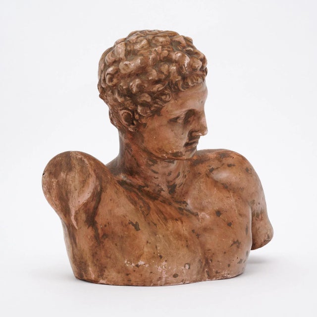 French Terracotta Vintage French Hermes Bust For Sale - Image 3 of 9