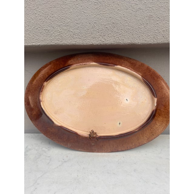 Ceramic 19th French Majolica Palissy Fish Wall Platter For Sale - Image 7 of 7