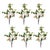 2020s Peach Fruit Foliage Branch (Set of 6) For Sale - Image 5 of 5