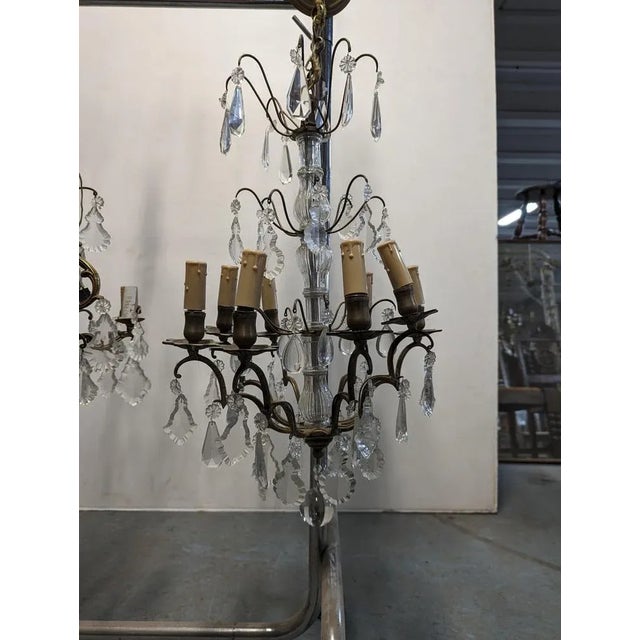 Louis XV Style Pampilles Cage Chandelier For Sale - Image 4 of 5