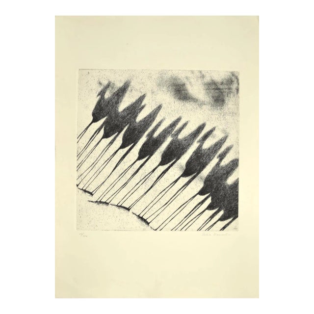 Tullio Diamanti, Shadow of Camels, Etching, 1980s For Sale