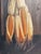 Folk Art Oil Painting of Corn American C 1940 For Sale - Image 4 of 5