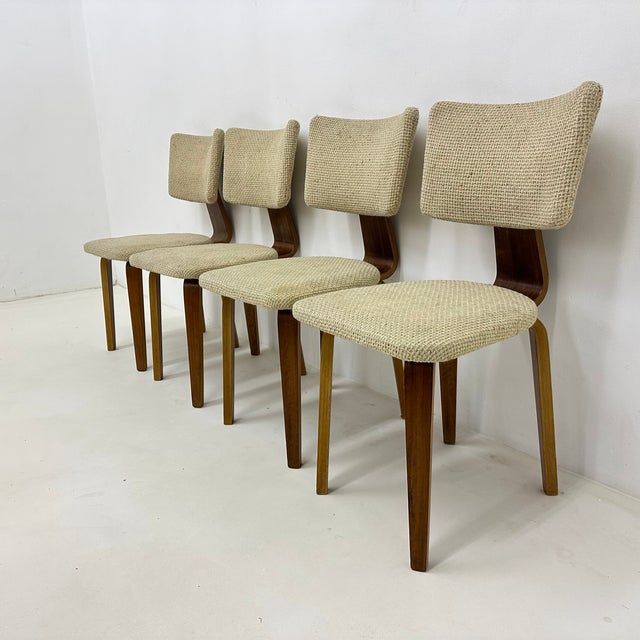 Dutch Plywood Dining Chairs by Cor Alons, 1960s, Set of 4 For Sale - Image 10 of 18