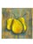 A striking original still life painting by Belinda Tischler, signed lower right, featuring three luminous golden pears...