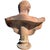 Amazing bust cesare ottaviano augusto 21th century roman emperor (rome 63 bc - nola 14 ad) copy of an original from the...