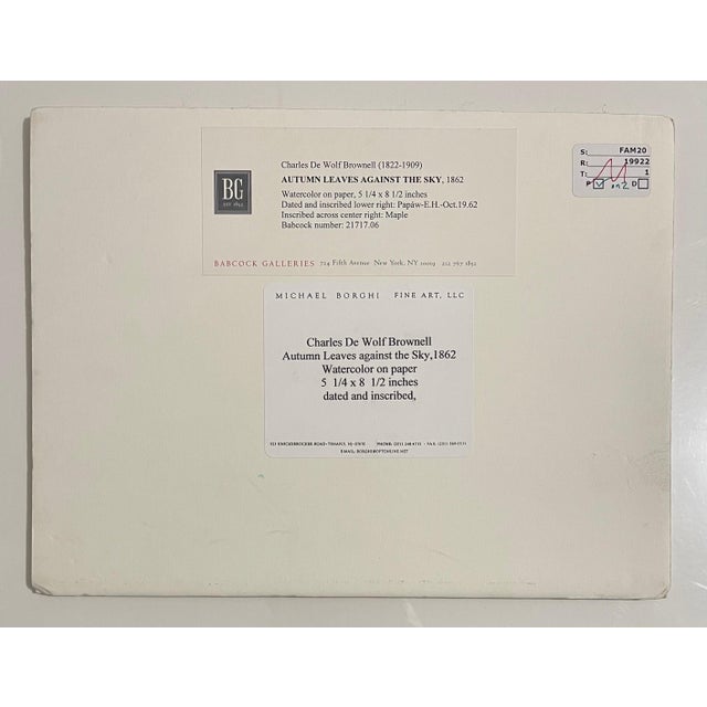 Charles De Wolf Brownell, Maple Leaves Watercolor Painting 19th C. American Artist Charles DeWolf Brownell, 1902 For Sale - Image 10 of 13