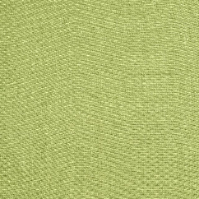 Sample- Schumacher Piet Performance Linen Fabric in Leaf For Sale