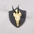 Antique Black Forest Chamois Trophy on Black Plaque - Salem Germany 1876 For Sale - Image 4 of 6