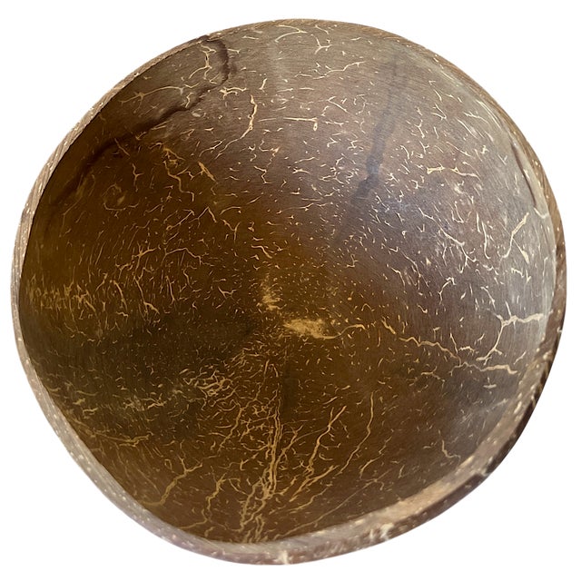 Contemporary Carved Coconut Shell Bowl — Organic Tropical Decor For Sale - Image 3 of 6