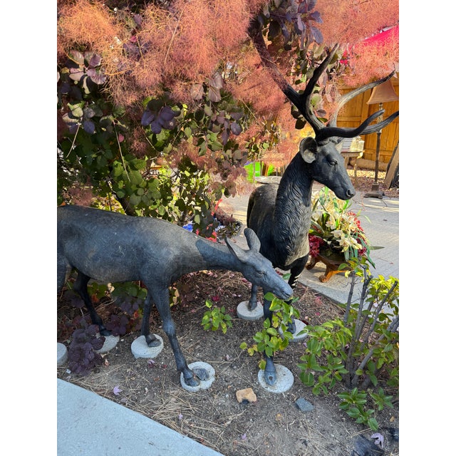 Late 20th Century Life Size Bronze Cast Buck and Doe Deer Statues, 2 Pieces For Sale - Image 12 of 12