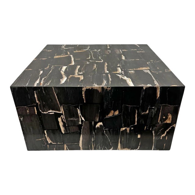 Modern Petrified Square Coffee Table For Sale