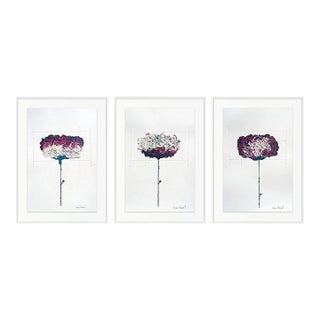 Set of 3 - Organic Modern Botanical Oil Paintings — Diane Grant For Sale