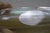 Steuben Equinox Neil Cohen Half Moon Notched Art Glass Bowl 10" For Sale - Image 14 of 16