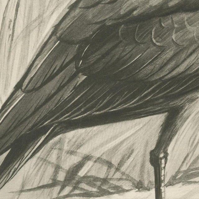 After Lilian Medland, Glossy Ibis, 1909, Print For Sale - Image 4 of 9