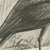 After Lilian Medland, Glossy Ibis, 1909, Print For Sale - Image 4 of 9