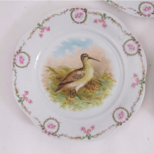 Vintage Bavarian Pheasant Plates, Set of 3 For Sale - Image 4 of 7