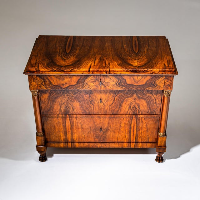 Wood Biedermeier Chest of Drawers With Lion Paw Feet, Germany, Early 19th Century For Sale - Image 7 of 8
