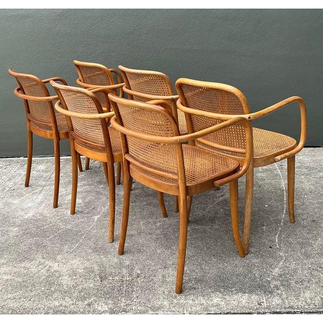 Vintage Stendig Bent Wood Cane Dining Chairs - Set of 6 For Sale - Image 16 of 16