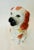 Vintage 1970s Fitz an Floyd water pitcher in the shape of a Staffordshire dog. In great condition with no chips or cracks...