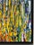 Mid 20th Century Mid Century Modern Abstract Expressionist Painting by California Artist Carol Bernard 1960's For Sale - Image 5 of 7