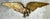 Vintage Gold Painted Metal Eagle Wall Sculpture For Sale - Image 16 of 17