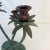 1970s Vintage Coastal Chic Cast Iron 3-Arm Palm Tree Candelabra. For Sale - Image 11 of 12