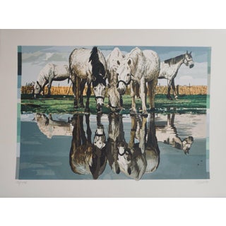 1970s Fran Bull Horses of the Camargue Hand Signed & Numbered Art For Sale