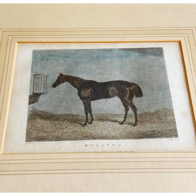 Mid 19th Century Set of 8 Antique English Hand-Colored Equestrian Engravings For Sale - Image 10 of 12