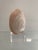 Mid-Century Shell on Lucite Stand For Sale In Miami - Image 6 of 6
