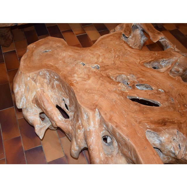 Brutalist Natural Teak Root Coffee Table, 1980s For Sale - Image 3 of 6