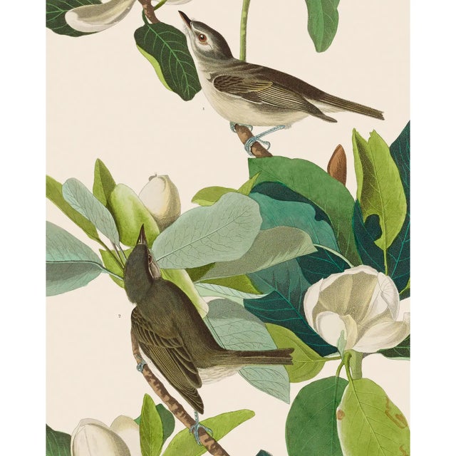 Introducing the Duchess Edition: a refined collection of Audubon Bird Giclée reproductions that elevate the timeless...
