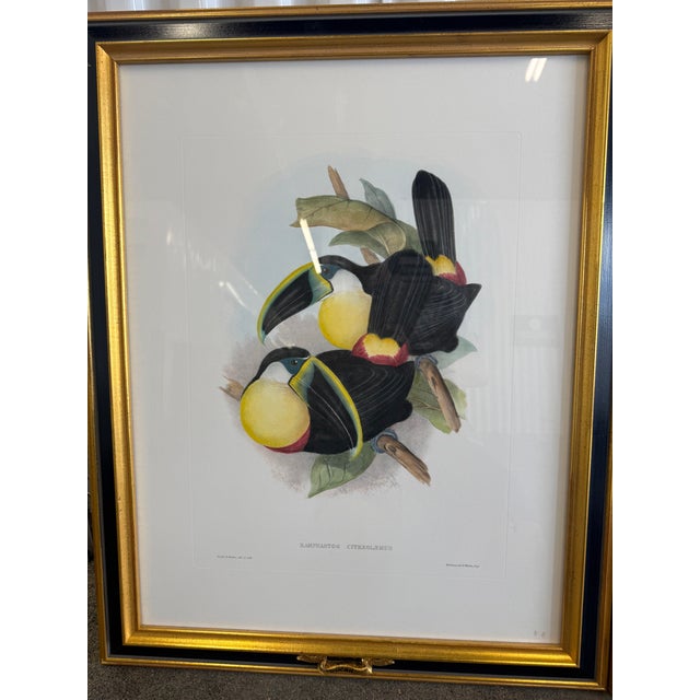 Tucan Botanical Prints - A Pair sold as found in very good framed condition measuirng 20 x 26 without frame.