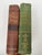 English 19th Century Waverley Novels Sir Walter Scott - 2 Volumes For Sale - Image 3 of 12