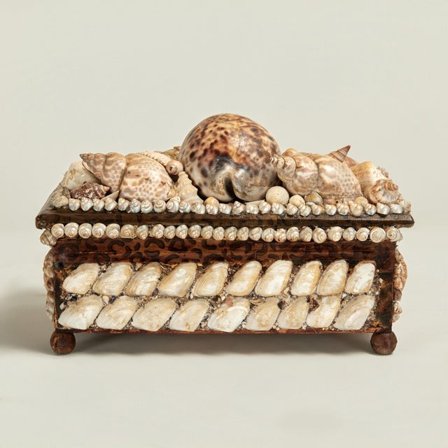 Antique British Colonial Seashell Encrusted Jewelry Box For Sale - Image 4 of 10