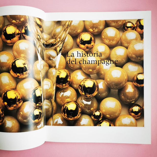 Paper 1988 Allegro Vivace History of Champagne Cava Sparkling Wines of the World Hardcover Book 80s For Sale - Image 7 of 12