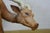 1960s Artisan Italian Leather Antelope Gazelle Blackbuck Figurine Statue 14" For Sale - Image 6 of 11