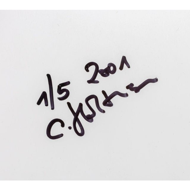 2000 - 2009 Corinna Holthusen Untitled C-Print on Aluminum For Sale - Image 5 of 5