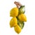 Bring the sun-drenched charm of an Italian orchard directly into your home with this beautiful pair of ceramic lemon wall...