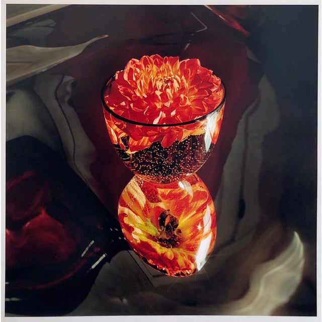 Peter C. Jones 1, Floating, Flowers, Large Format Photo 24X20 Color Photograph Beach House, 2004 For Sale