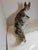 Guido Cacciapuoti, Fox, 1950s, Ceramic For Sale - Image 11 of 16