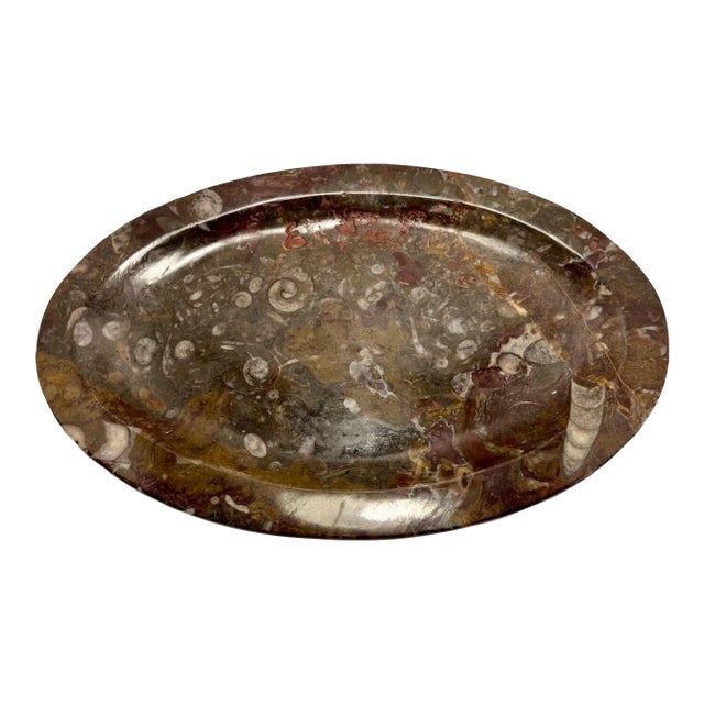 1970s Rare Stone Fossil Plate Orthoceras Sea Shell Polished Brown Ammonite For Sale
